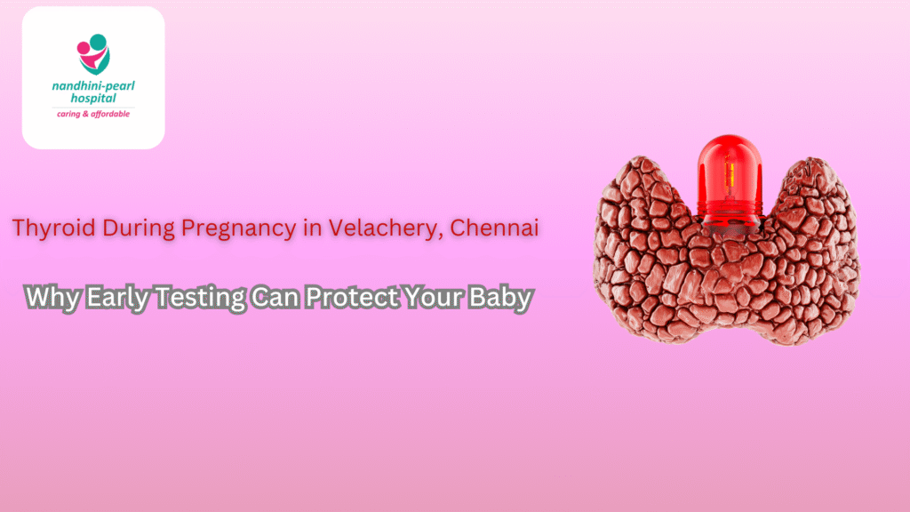 Thyroid During Pregnancy in Velachery, Chennai – Why Early Testing Can Protect Your Baby